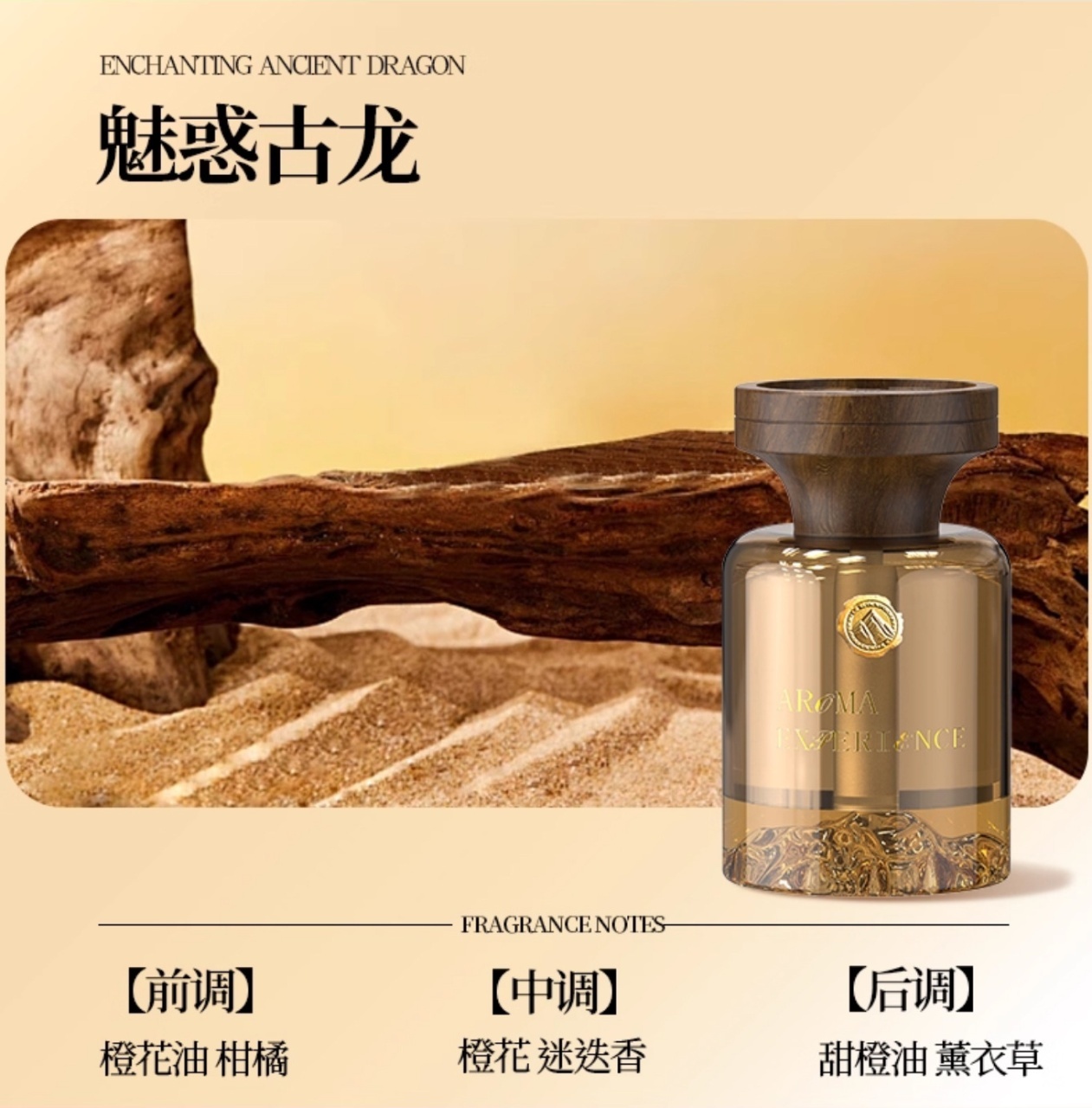 魅惑古龍